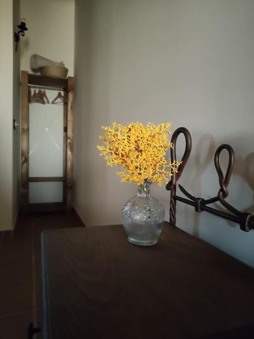 아레나스 데 산 페드로 La Casa De La Abuela Amalia 아파트 외부 사진